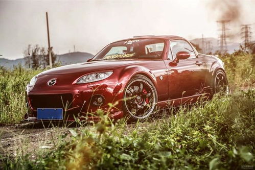 女生眼中l(wèi)ow到爆的汽車(chē)改裝 幼稚貼紙竟非第一？